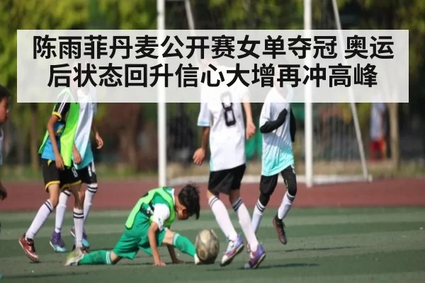 陈雨菲丹麦公开赛女单夺冠 奥运后状态回升信心大增再冲高峰